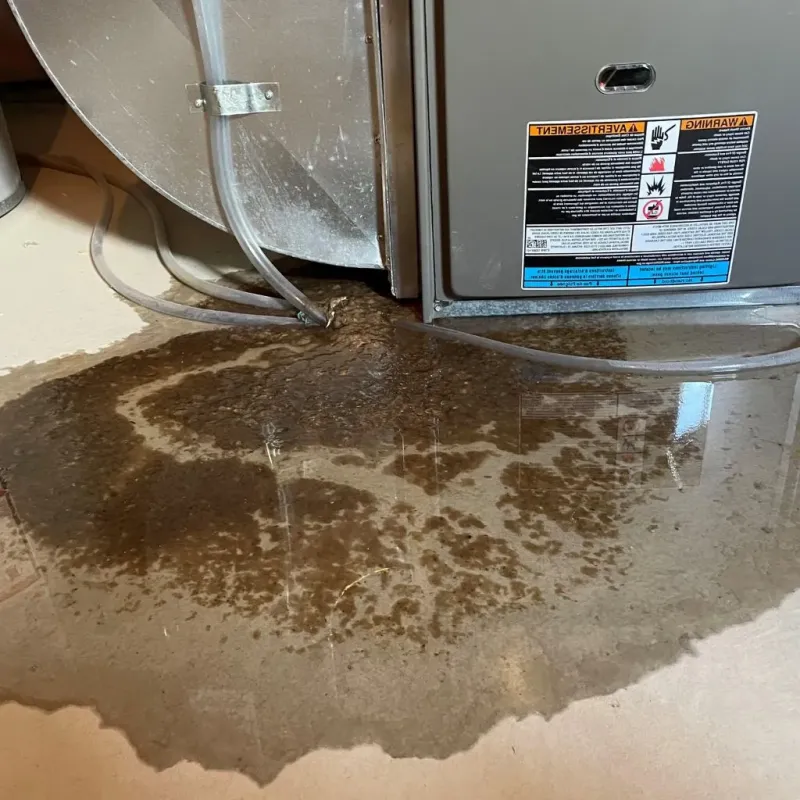 Pipe Burst and Leak Restoration in Defiance County, OH